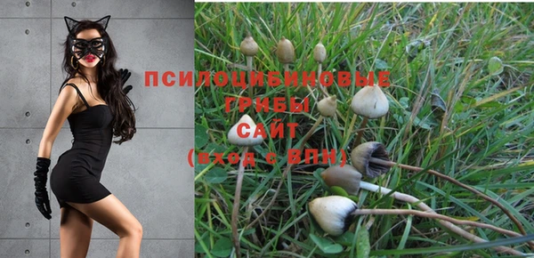 винт Пересвет