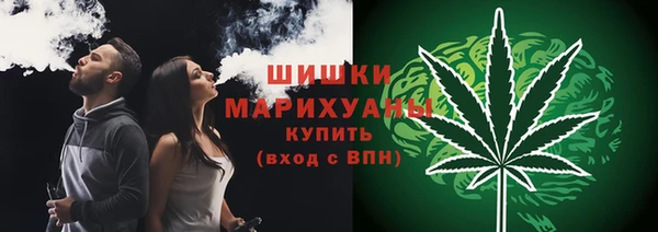 дмт Пестово