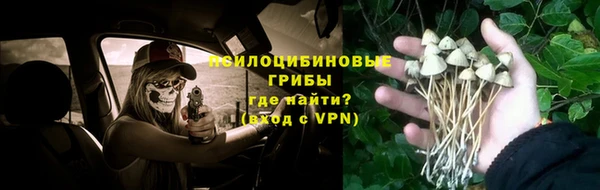 мет Абаза