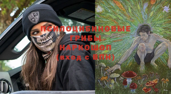 дмт Пестово