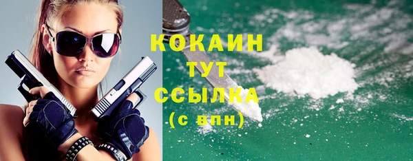 дмт Пестово