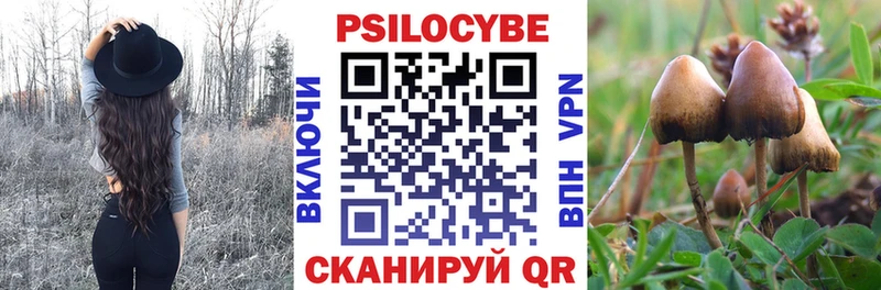 MEGA маркетплейс  Лангепас  Галлюциногенные грибы Psilocybe 